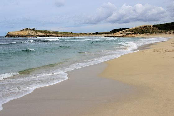 Der Strand Playas de Son Bou, Bild-Nr. 5